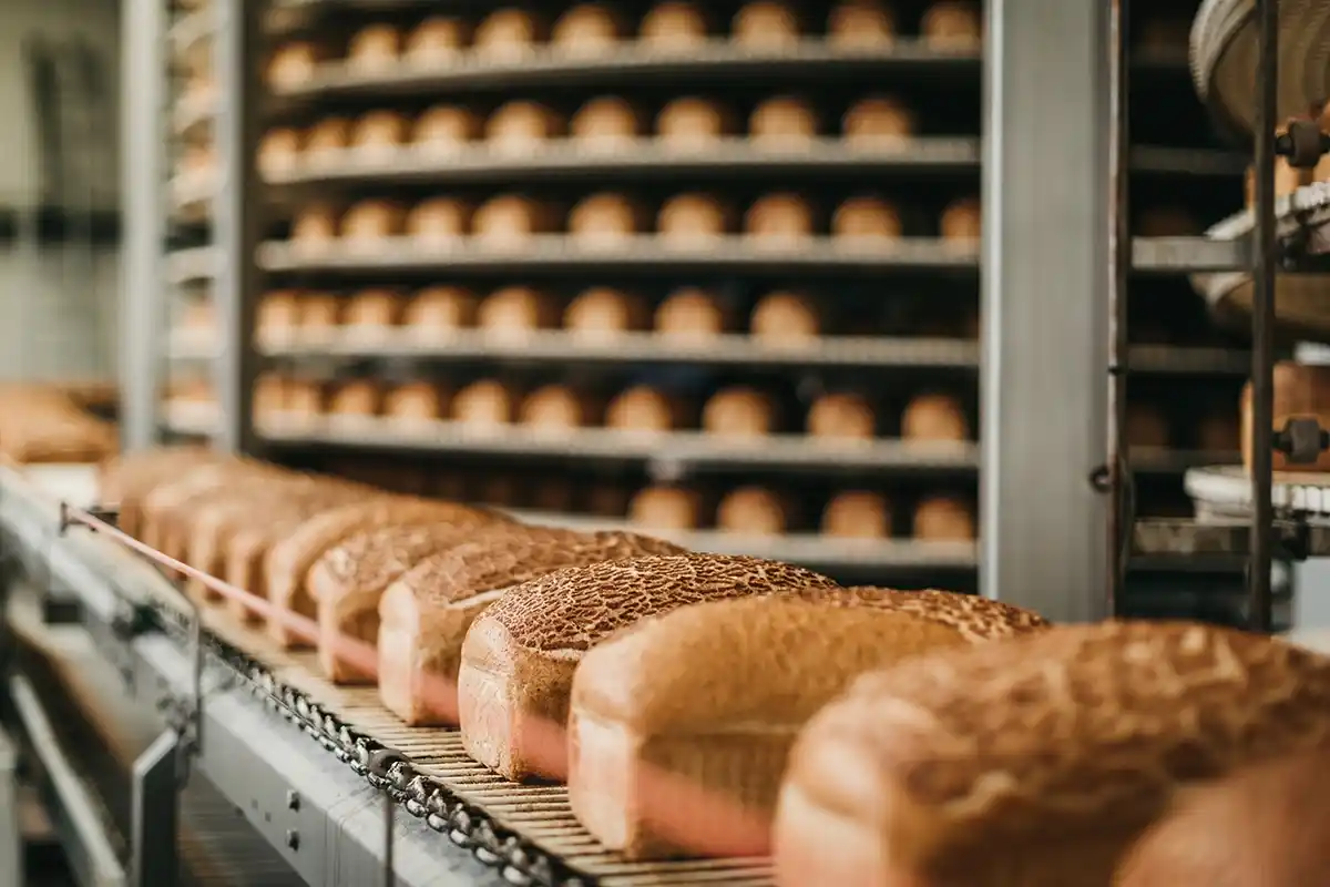 Proceso artesanal Bakerino